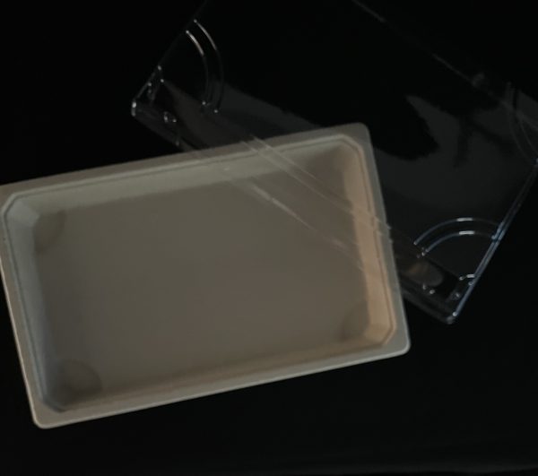 300 BANDEJAS DE BAGAZO CON TAPA PET No. 9 LISA 24x15+5 cm - Image 2