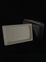 300 BANDEJAS DE BAGAZO CON TAPA PET No. 11 LISA 25.7x18.5+5 cm - Image 2