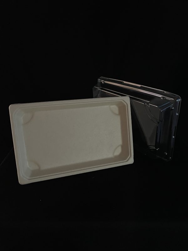 300 BANDEJAS DE BAGAZO CON TAPA PET No. 11 LISA 25.7x18.5+5 cm - Image 2