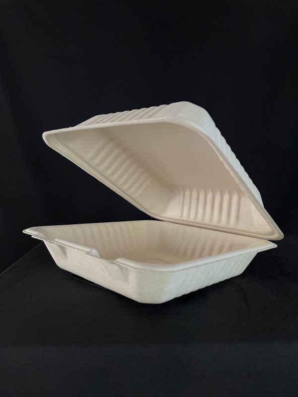 200 CONTENEDORES ALMEJA DE BAGAZO 9x9 - Image 2