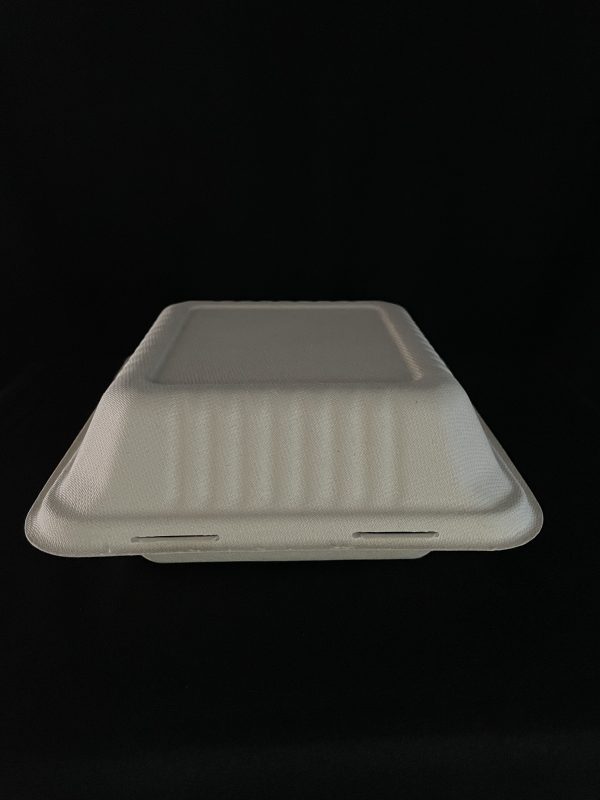 200 CONTENEDORES ALMEJA DE BAGAZO 9x9 - Image 3