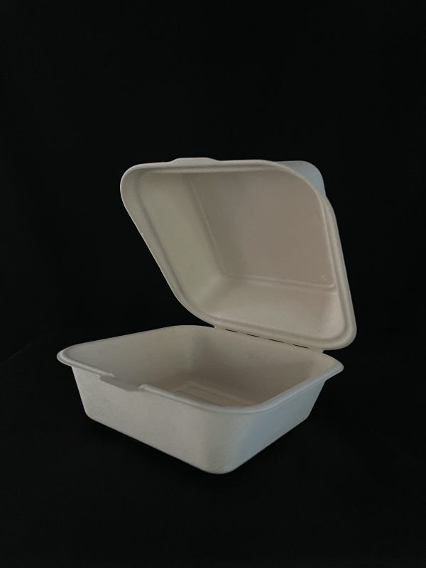 500 CONTENEDORES ALMEJA DE BAGAZO 6X6 - Image 2